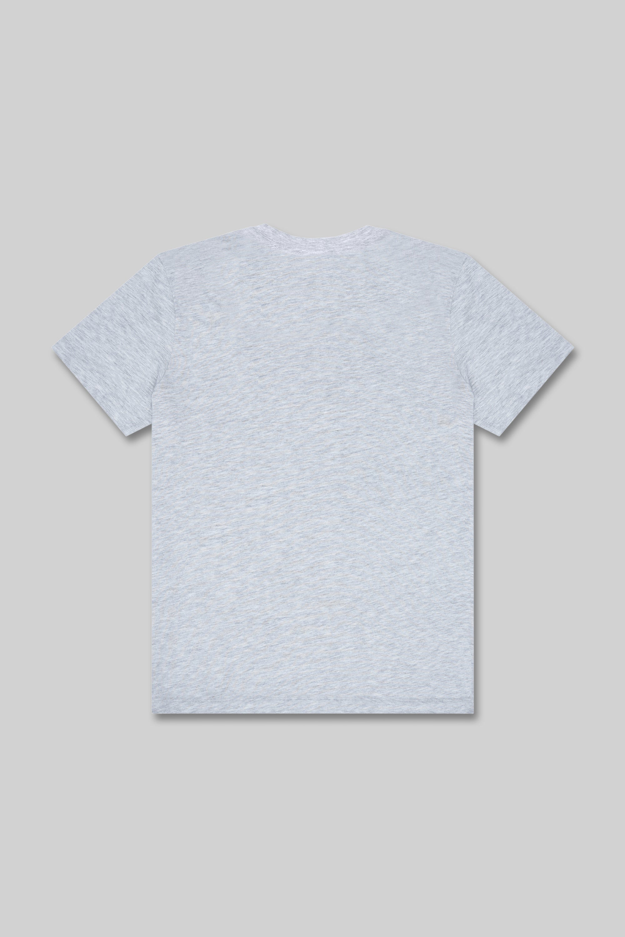 4200 Premium Heavyweight Tee