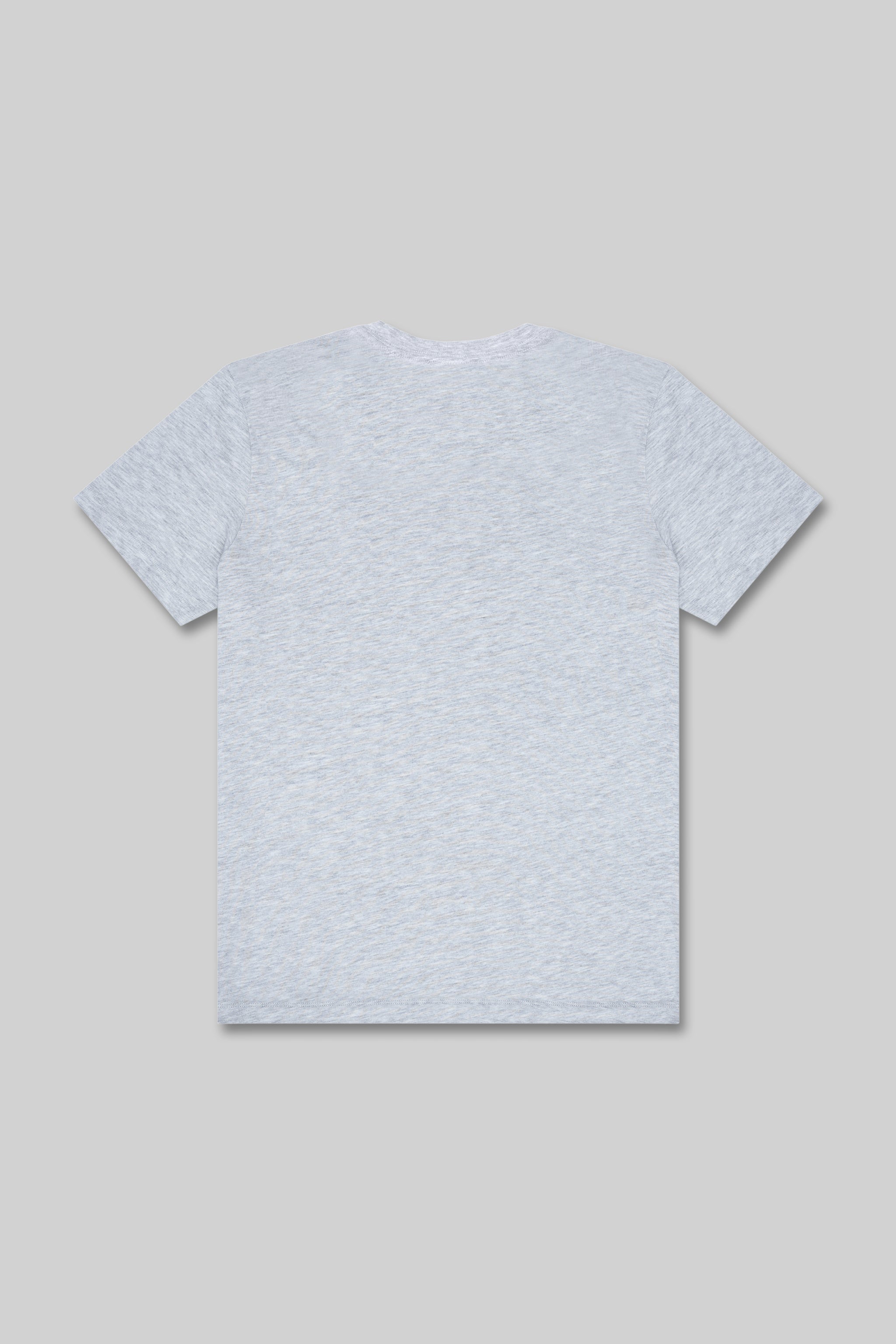 4200 Premium Heavyweight Tee