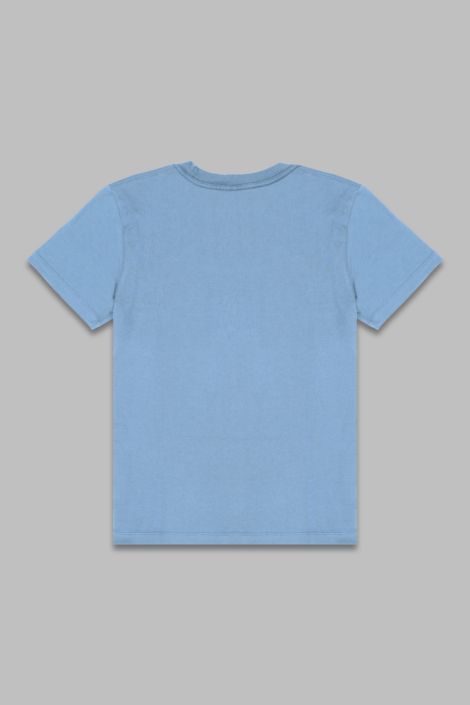 4200W Heavy Mineral Washed Tee
