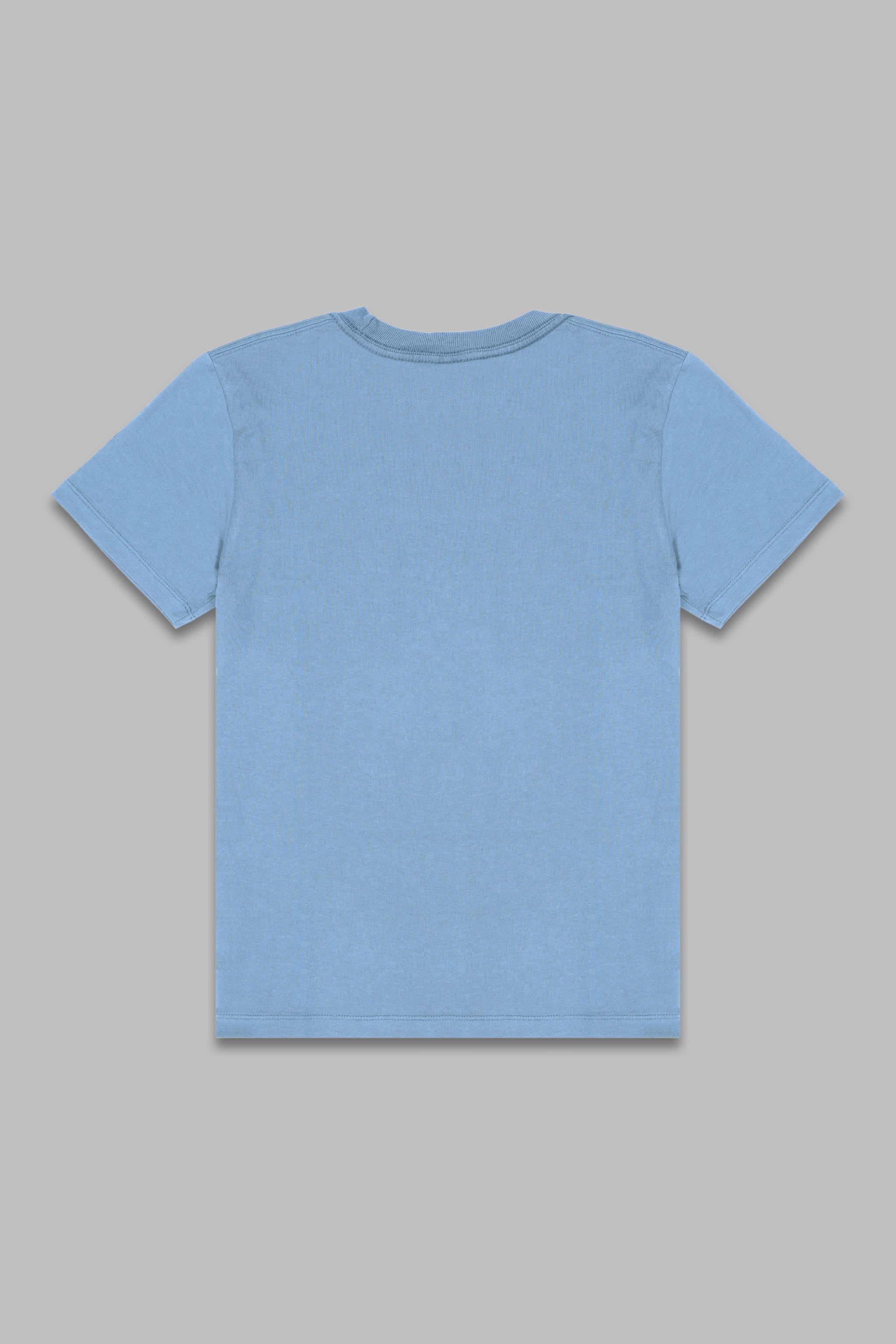 4200W Heavy Mineral Washed Tee