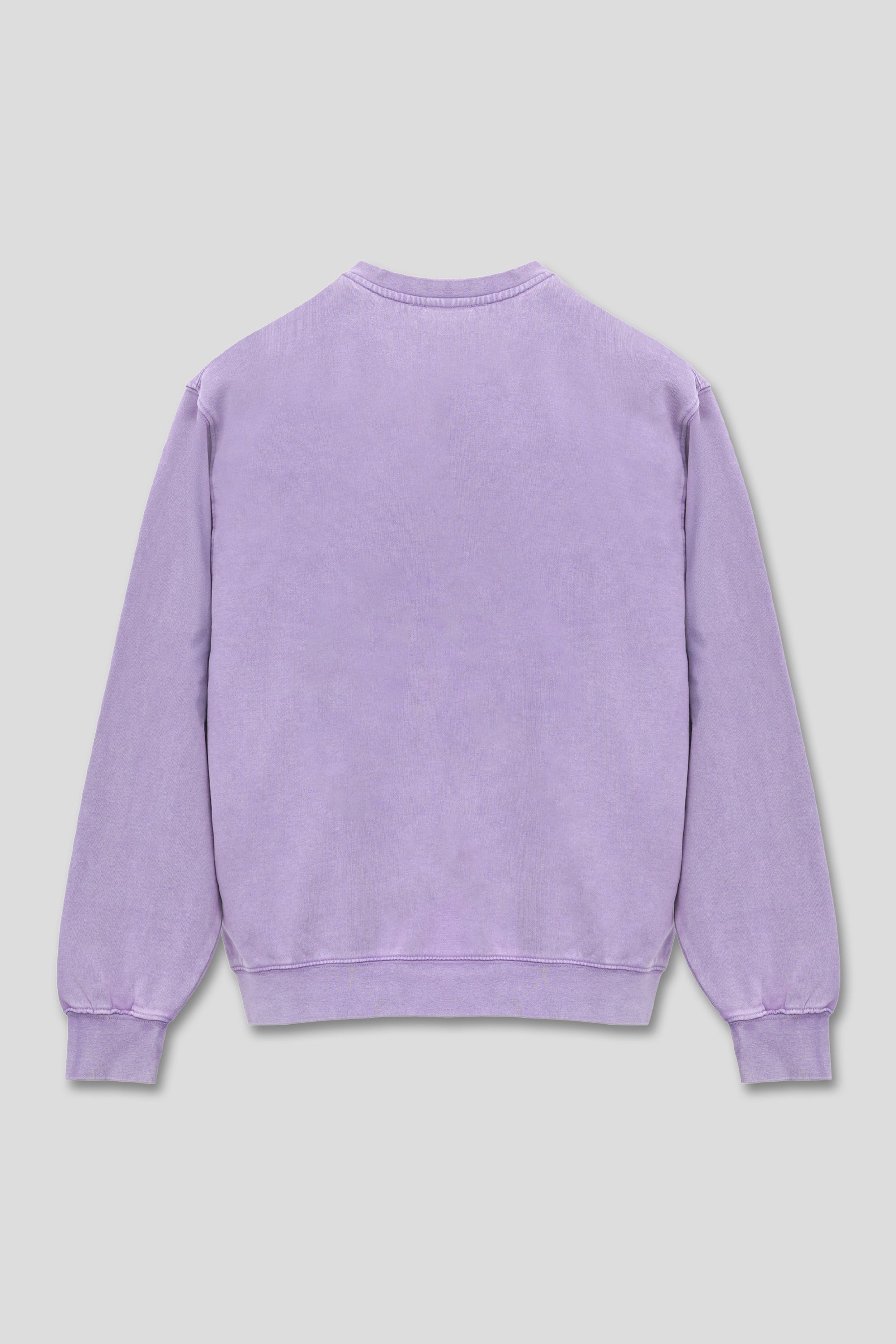 7500 Mineral Wash Balanced Crewneck