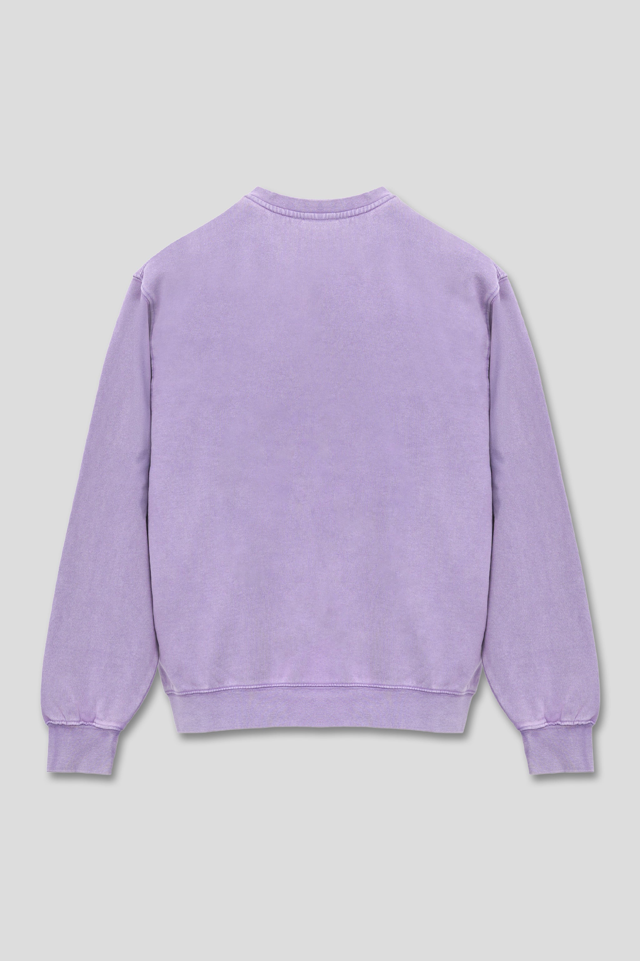 7500 Mineral Wash Balanced Crewneck