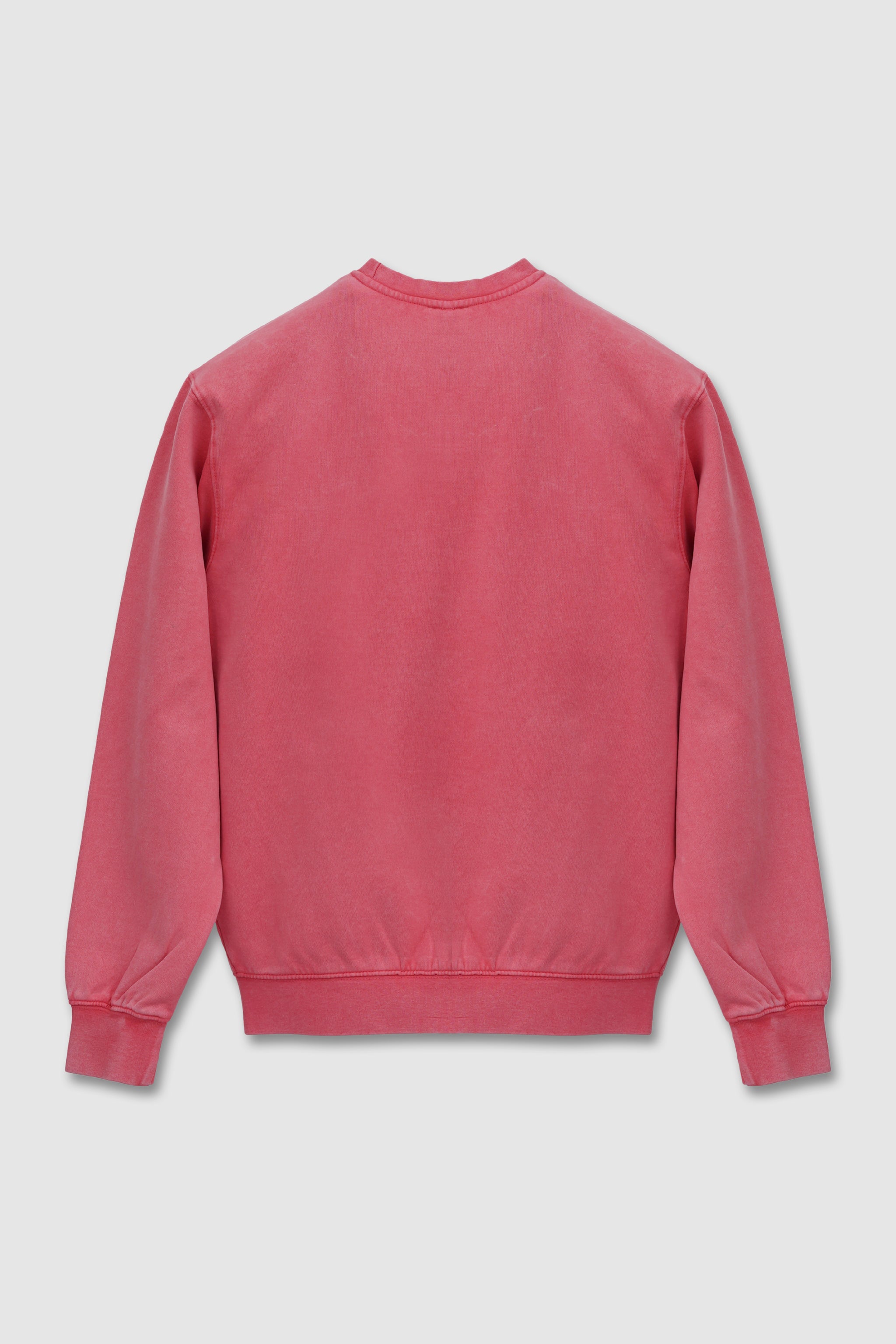 7500 Mineral Wash Balanced Crewneck