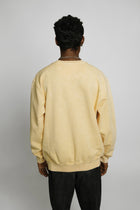 7500 Mineral Wash Balanced Crewneck
