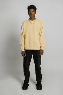 7500 Mineral Wash Balanced Crewneck